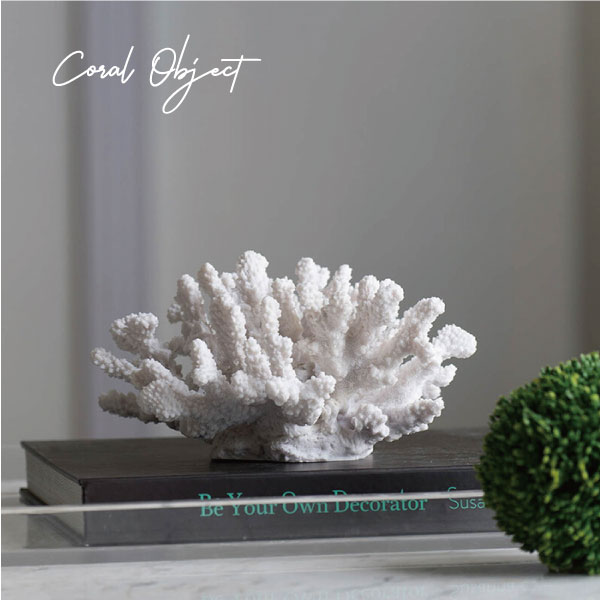 楽天市場】珊瑚 サンゴ Coral ホワイト White インテリア オブジェ