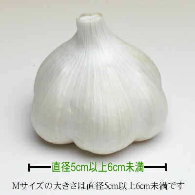 楽天市場】【セール価格】青森にんにく A品 Mサイズ 1kg～10kg 国産