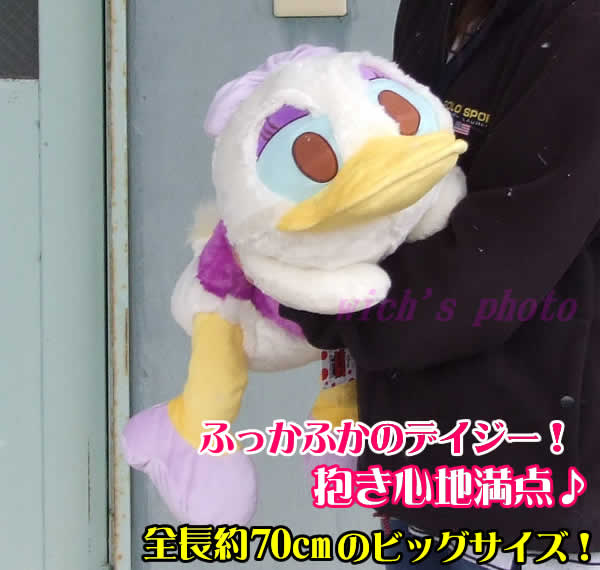 楽天市場】寝そべりめちゃでかデイジーダックぬいぐるみ(全長約70cm
