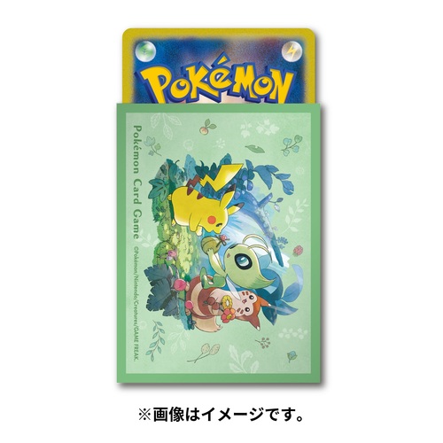 楽天市場】ポケモンセンターオリジナル ポケモンカードゲーム デッキ