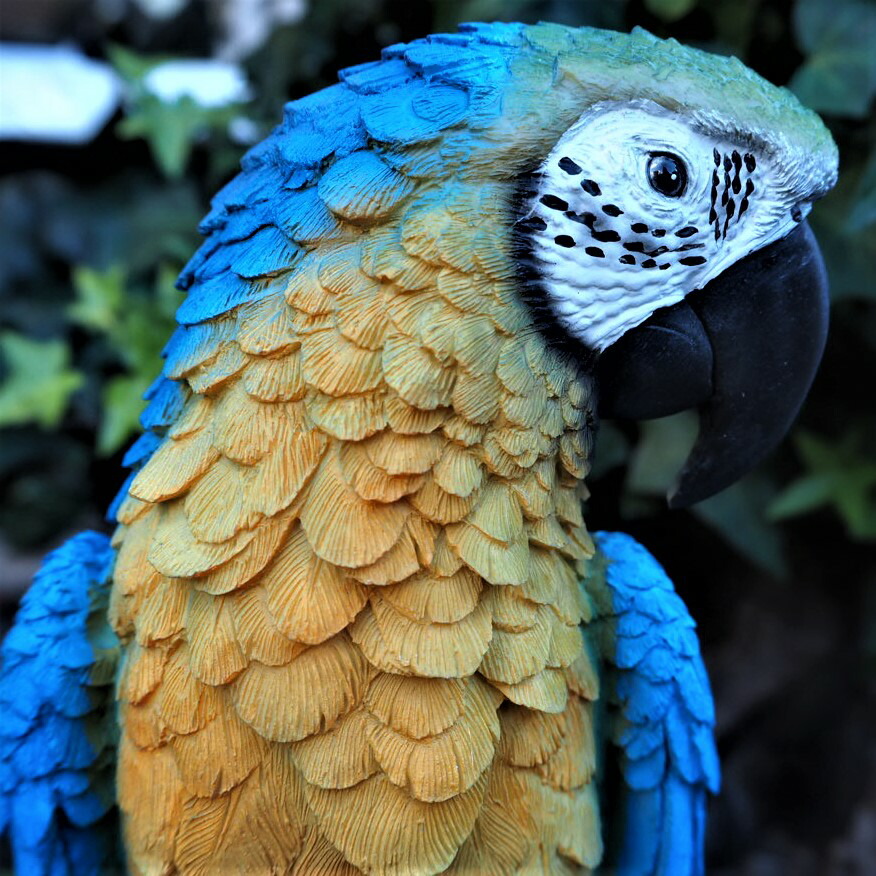楽天市場】小鳥の置物 インコの置物 コンゴウインコ 特大 N14107