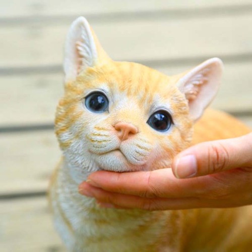 楽天市場】雑貨 置物・フィギュア：ねこ あそぼーニャー*ネコ 猫 資材