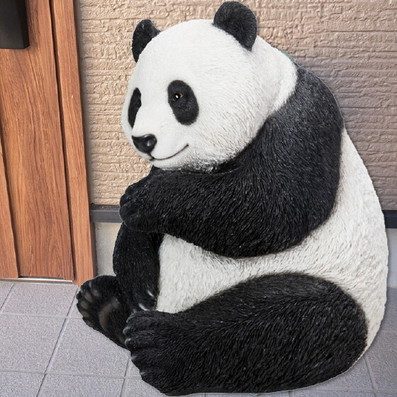 62767-photo.jpg