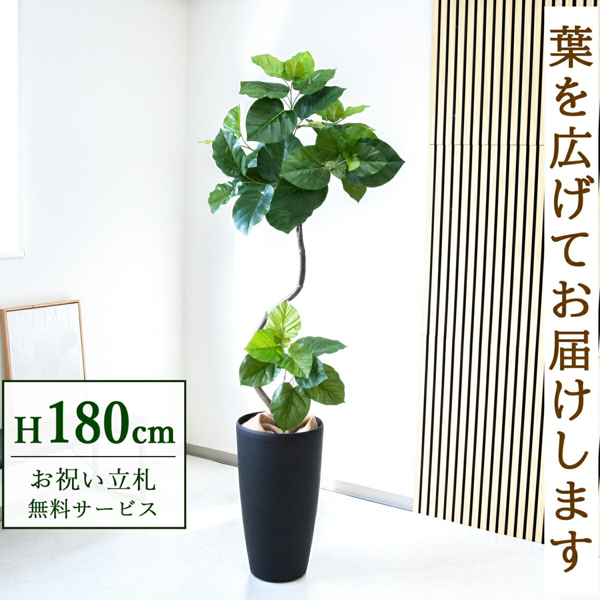 楽天市場】フェイクグリーン 観葉植物 人工観葉植物 フィカス