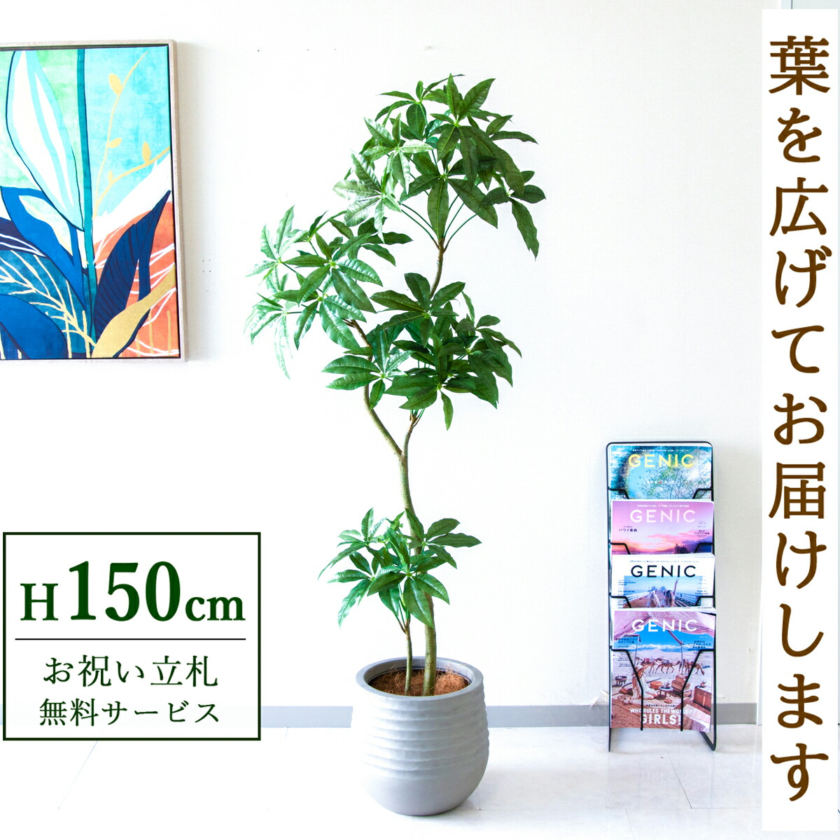 観葉植物 パキラ 造花 150cm」の人気商品一覧 | 安い商品を通販サイト