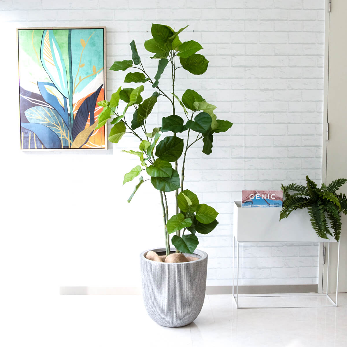 楽天市場】フェイクグリーン 観葉植物 人工観葉植物 フィカス