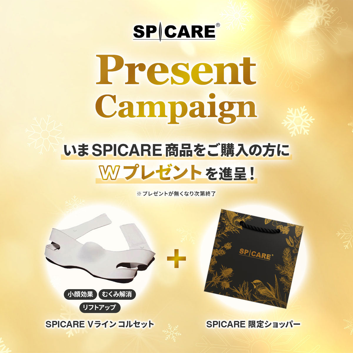 SPICARE正規ストア V3 シャイニングファンデーション