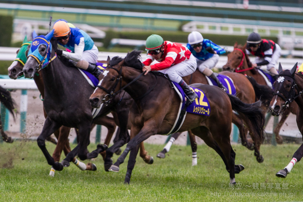 競馬写真】2014年 第74回桜花賞(GI) ハープスター