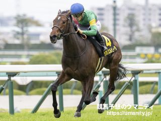 タガノエルピーダ - 競走馬データTOP｜競馬予想のウマニティ