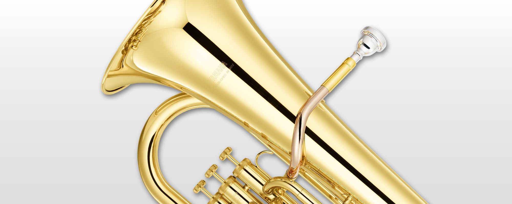 YEP-201 - Overview - Euphoniums - Brass & Woodwinds - Musical