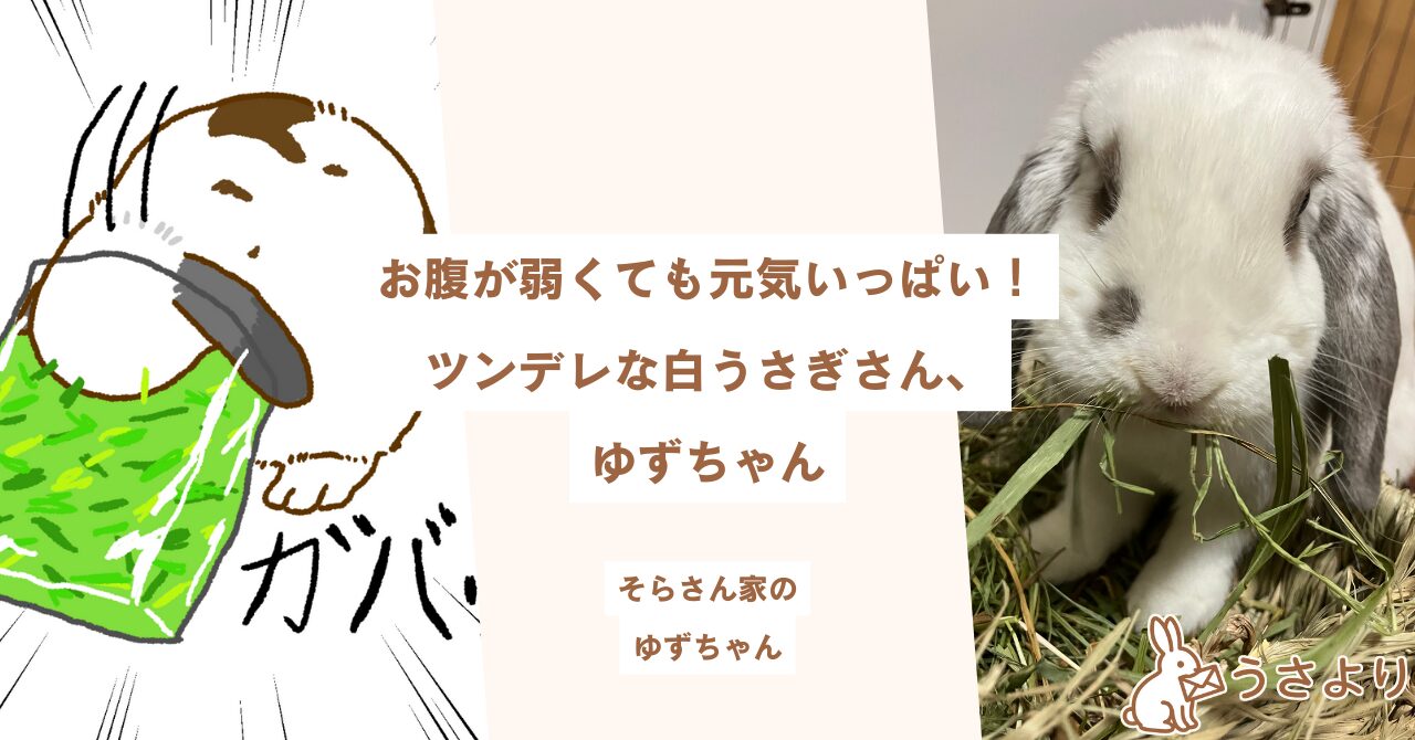 うさより｜うさぎで生まれた作品や想いを“やさしくつなぐ”