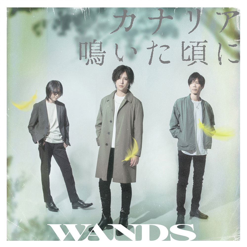 WANDS OFFICIAL WEBSITE