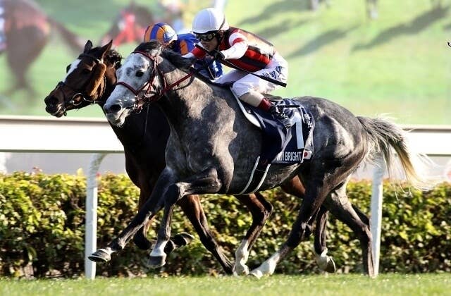 香港カップ】昨年に続く日本馬の連勝なるか!? 過去10年のレース傾向