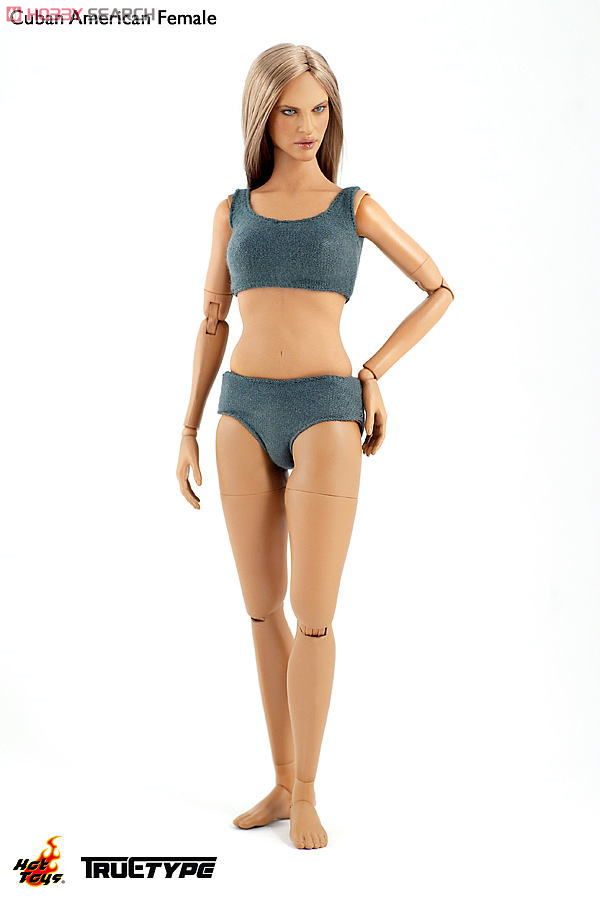 ホットトイズ・トゥルータイプ] 1/6スケールフィギュア素体 ニュー