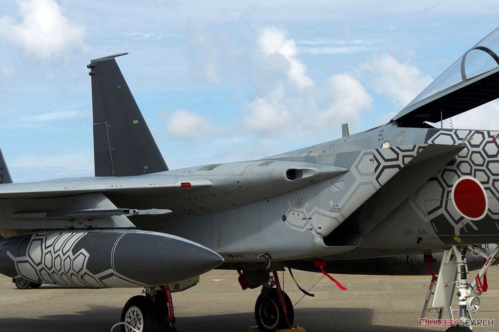 JASDF F-15J Eagle 303rd Tactical Fighter Squadron 2018 Komatsu