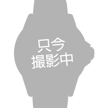 ロレックス デイトジャスト41 Ref.126301 サンダスト 新品｜ロレックス