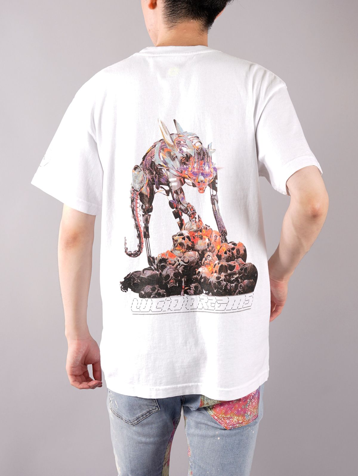 ALCHEMIST - ラスト1点 / APEX SHORT SLEEVE T-SHIRTS / エーペックス