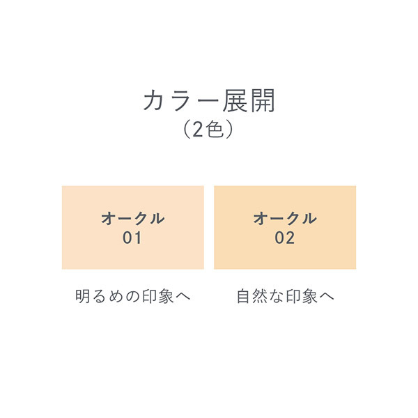 ビジョンファンデーション マット / エクスボーテ(リキッド