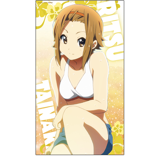 田井中律ドキドキビッグタオル [けいおん！！] | 二次元キャラクター