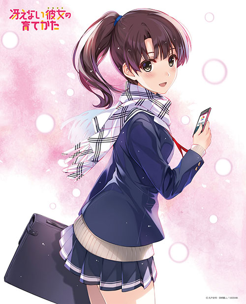 アクシアキャンバスアートシリーズNo.040 冴えない彼女の育てかた