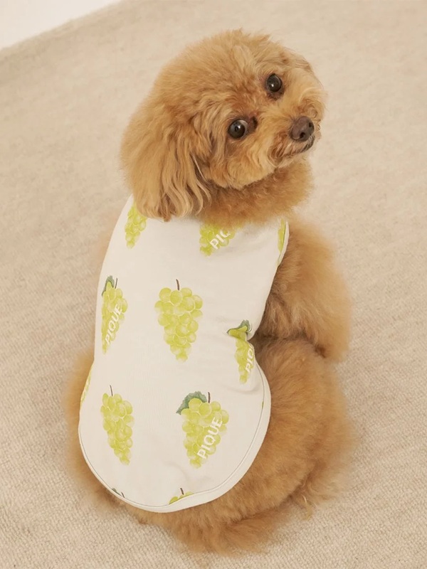 gelato pique（ジェラートピケ）【CAT&DOG】【販路限定商品】【接触冷
