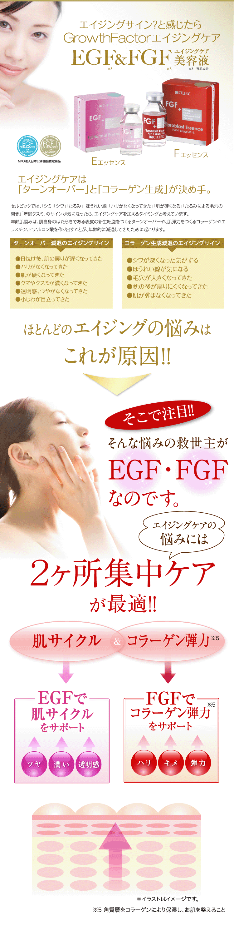 コラーゲン生成力UP】 Fエッセンス|すっぴん美肌をコンサルティング