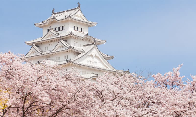 姫路城は兵庫の世界遺産 「白鷺城」の庭園でおいしい食事やお茶も