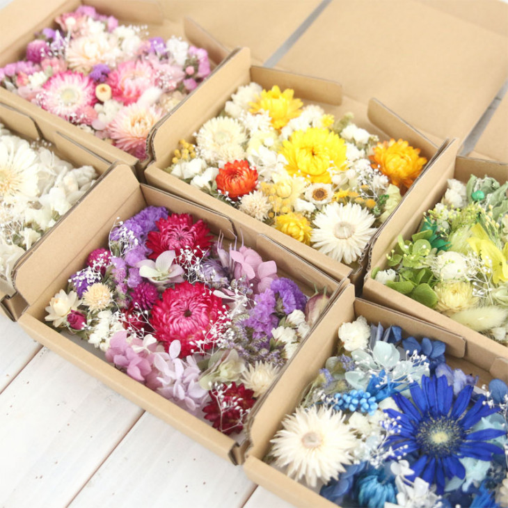 全6色セット ドライフラワー プリザーブドフラワー 花材詰め合わせ