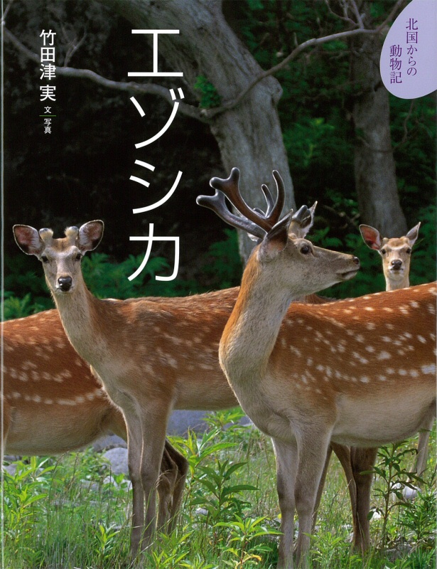 エゾシカ ｜ アリス館
