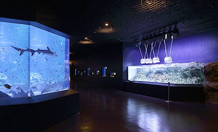Facility guide | Maxell Aqua Park Shinagawa-maxell AQUA PARK SHINAGAWA