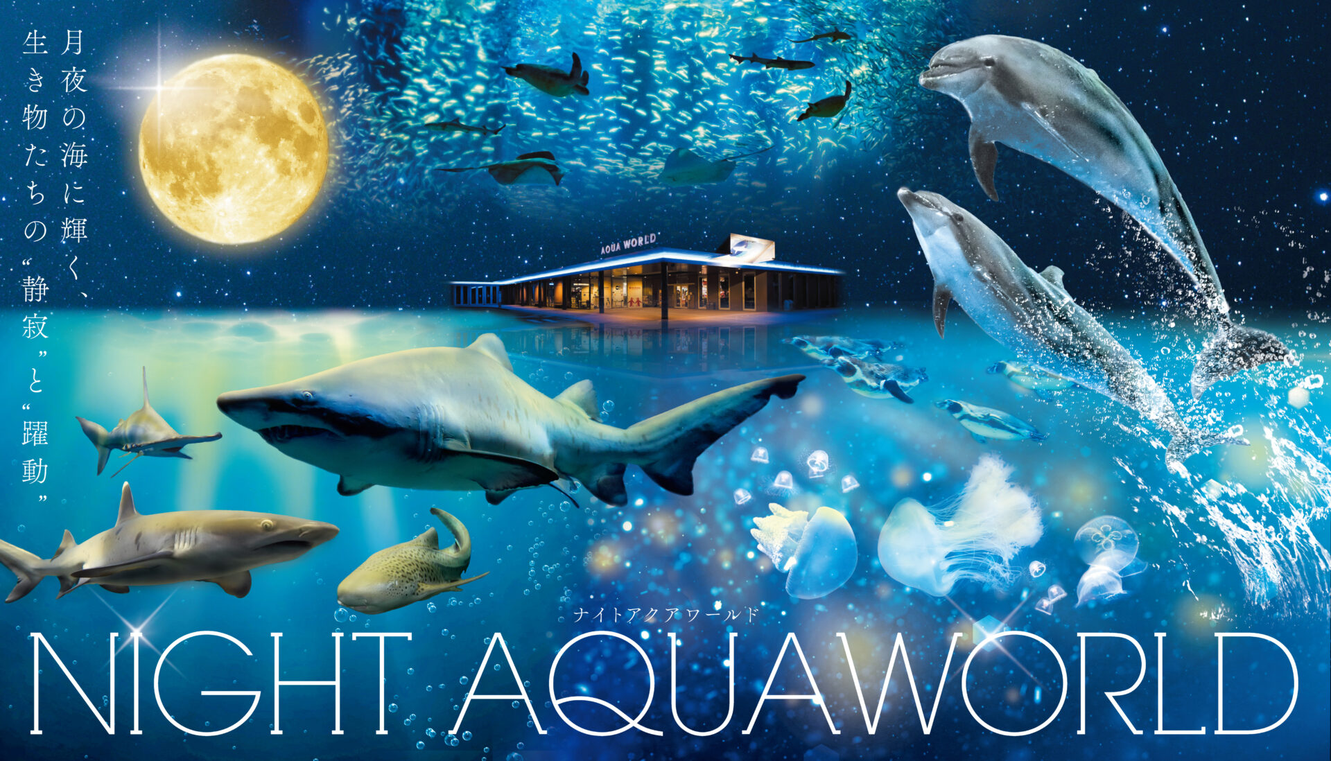 夜の新世海 “NIGHT AQUAWORLD” | アクアワールド茨城県大洗水族館【公式】