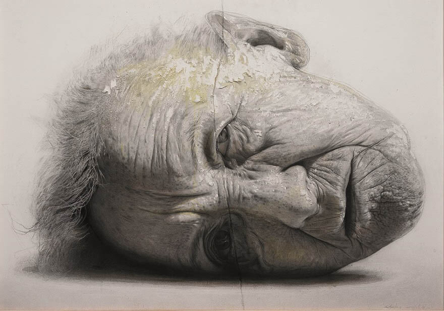 スペインの現代写実絵画―MEAM | ホキ美術館 | 美術館・展覧会情報
