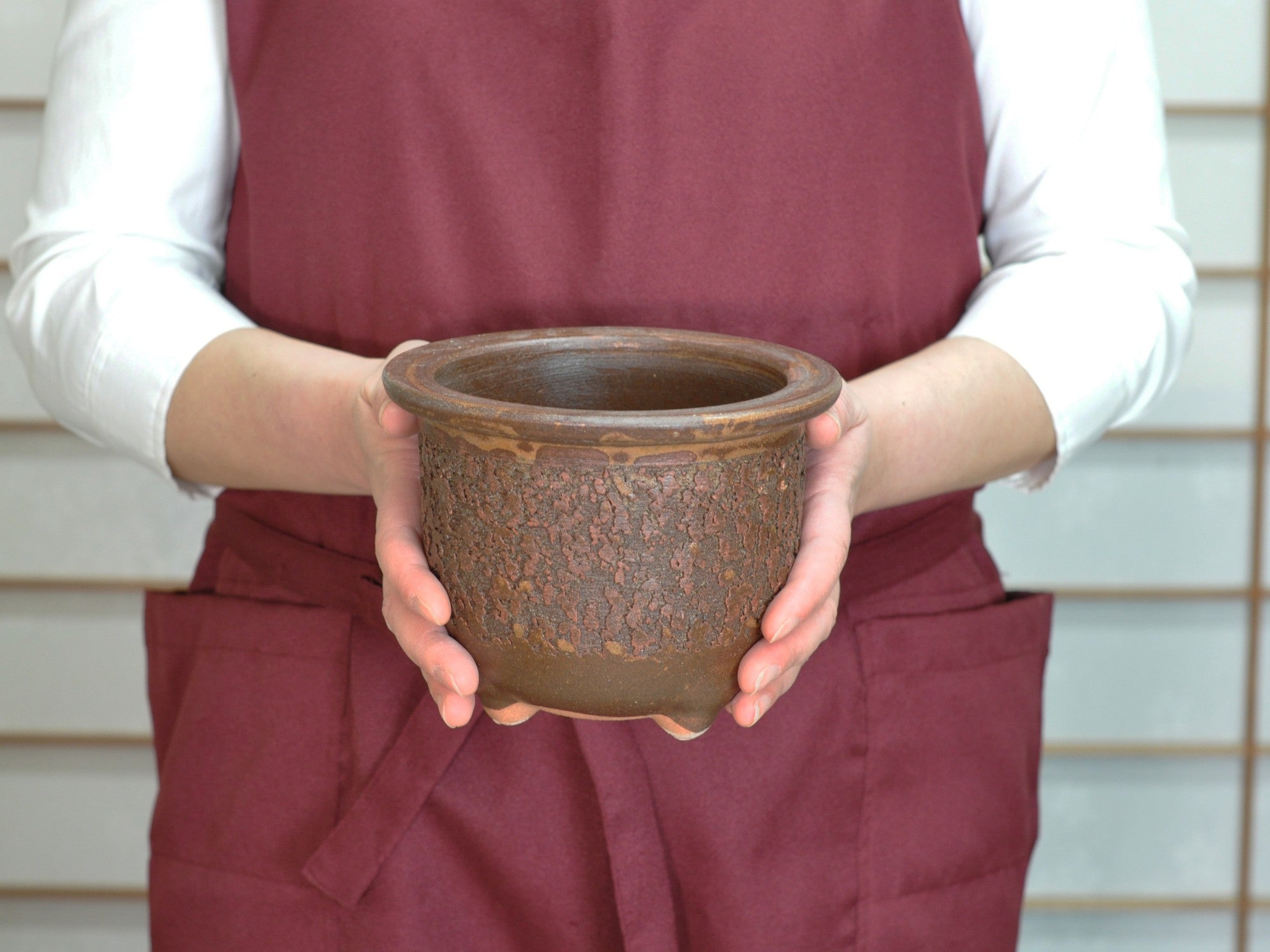信楽焼 イラボ松皮観音竹鉢 5号 幅16cm×高さ12.5cmの販売｜盆栽妙