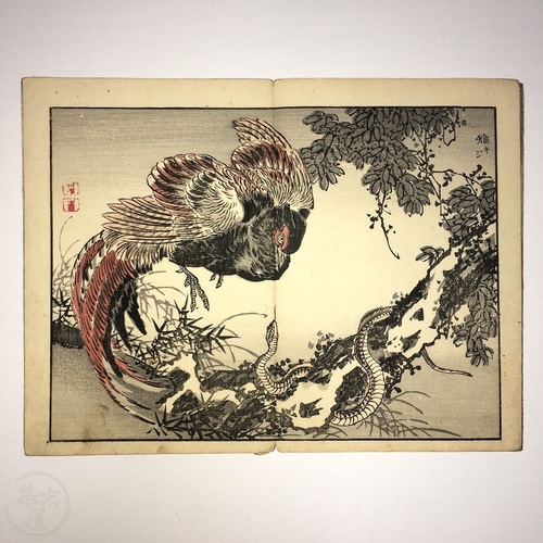 幕末屋 • 楳嶺画譜 3冊 幸野楳嶺画 花鳥画 (日本の絵本 ) • 希少な本と写真