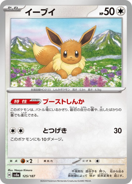 イーブイ&カビゴンGX SA仕様 プロモ PSA10 ポケモンカード 【公式通販】