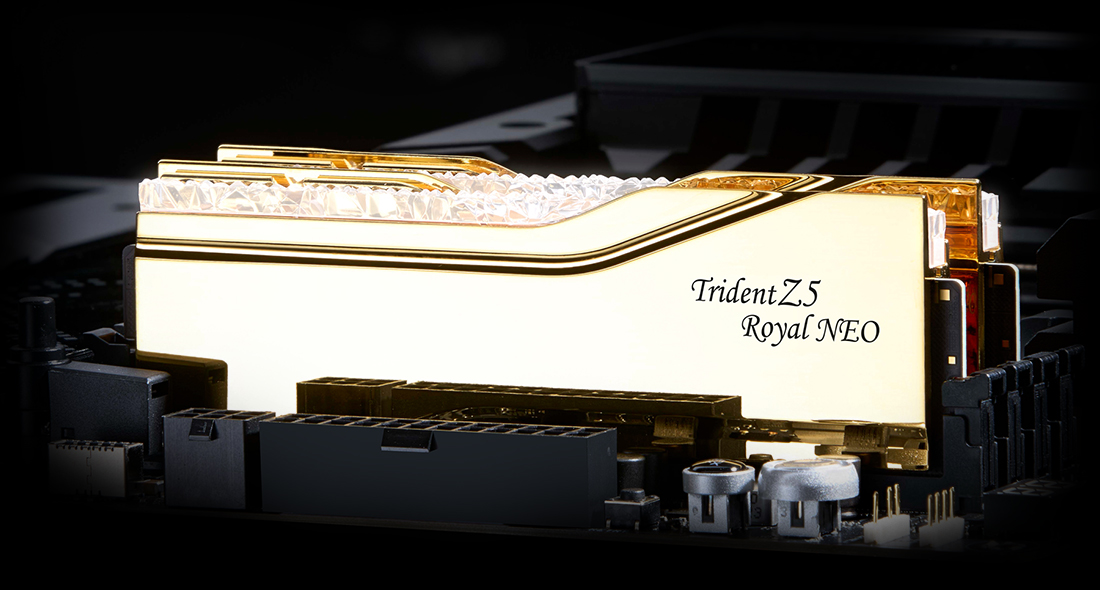 F5-6000J2636H32GX2-TR5NG - Overview - G.SKILL International