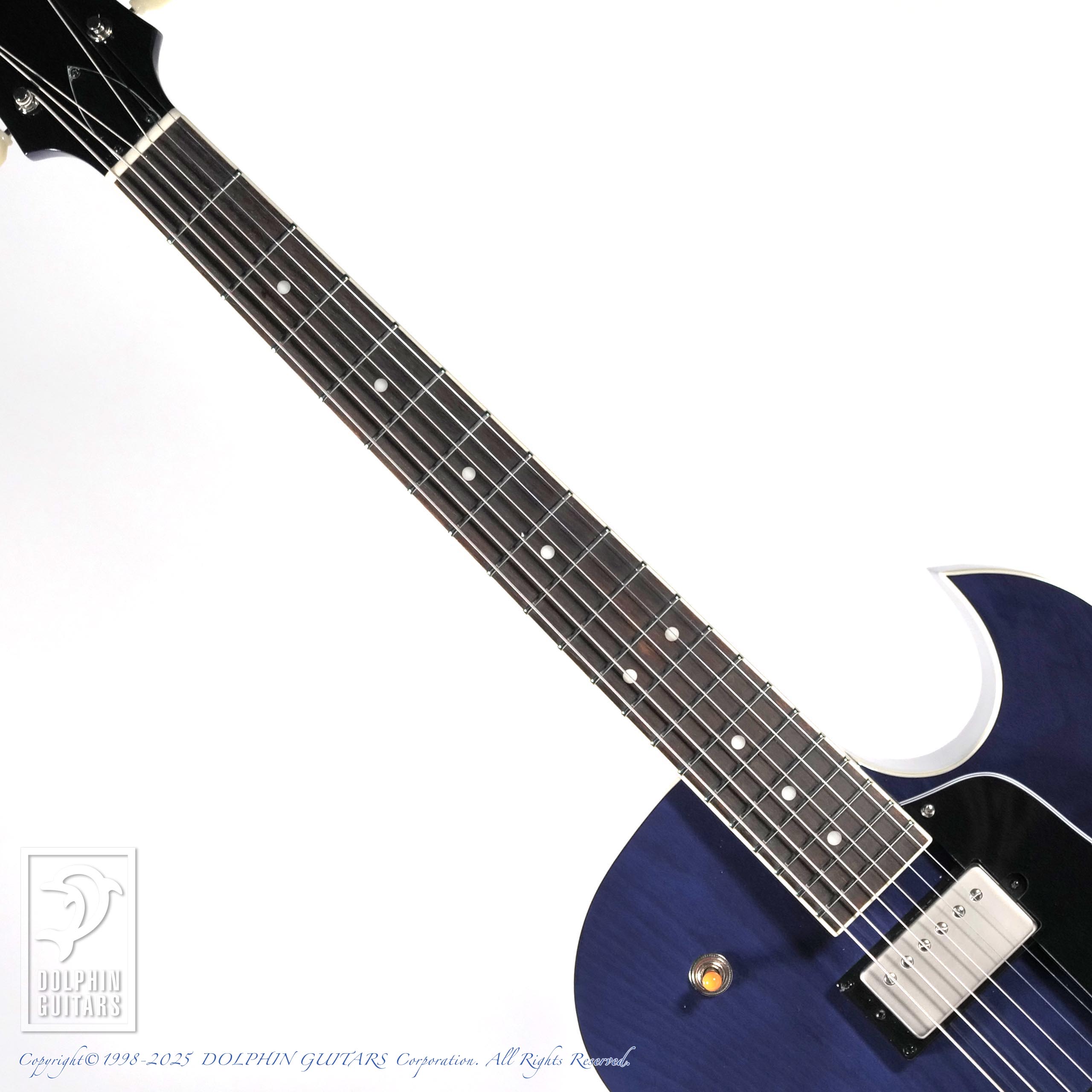 SeventySeven Guitars HAWK-STD/DEEP-JT (DWN)|ドルフィンギターズ