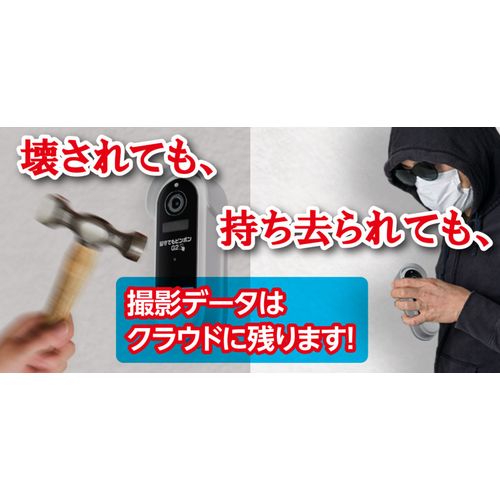 留守でもピンポン2 GS-DB026DTK ダイトク インターホーン
