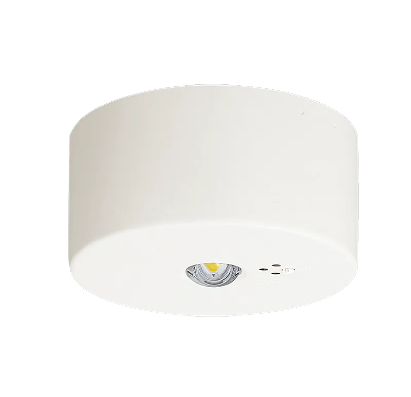 NNFB91085C 天井直付型 （ 昼白色 ） パナソニック Panasonic LED非常
