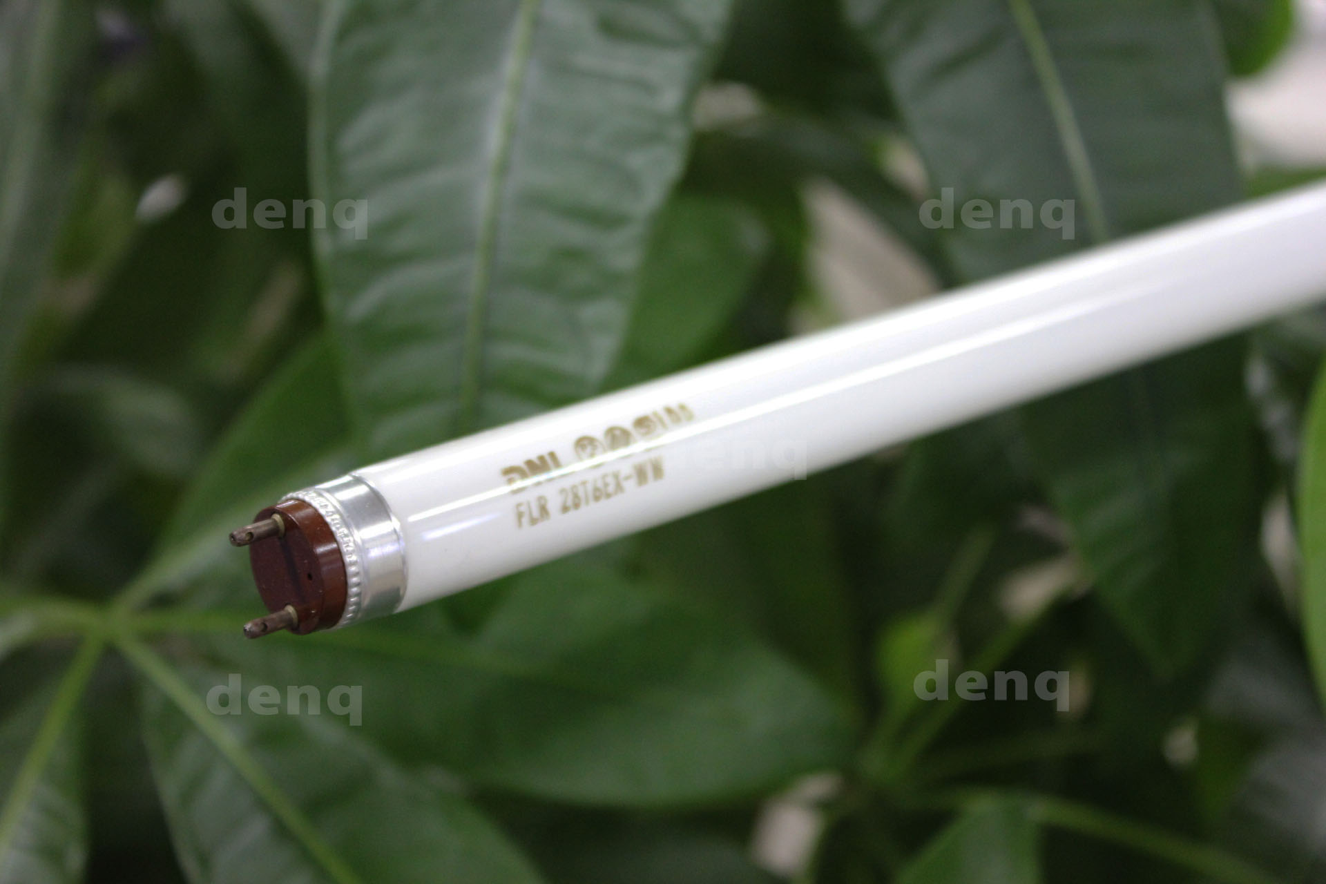 DNライティング（DNL） FLR22T6EX-L 電球色(2800K) （ランプ長 489mm）