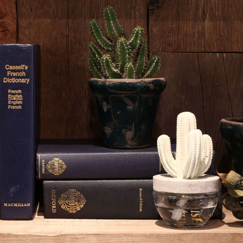 DULTON ONLINE SHOP | CACTUS FRAGRANCE DIFFUSER B OCEAN BREEZE(B