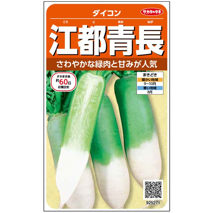 江都青長[中国大根] - e-種や｜国内最大級の野菜種・花種・苗・農業
