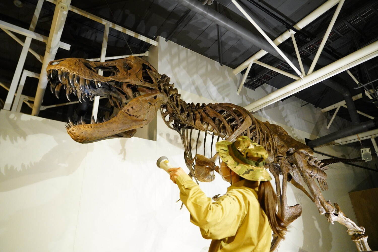 ジュラシック大恐竜展inよみうりランド」“動き、ほえる”恐竜ロボット