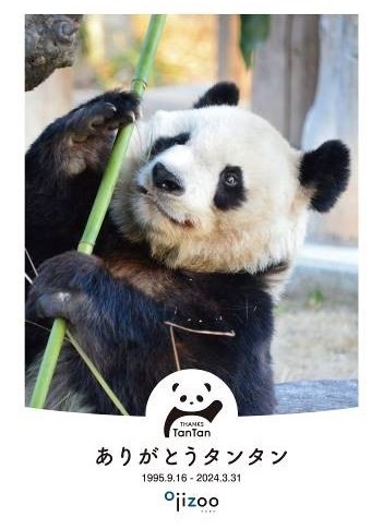 3/31 タンタン追悼事業の実施｜神戸市立王子動物園【公式】