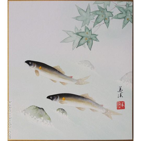 高級色紙「鮎」美法（色紙絵）送料無料 商品詳細 掛け軸の販売・絵画の