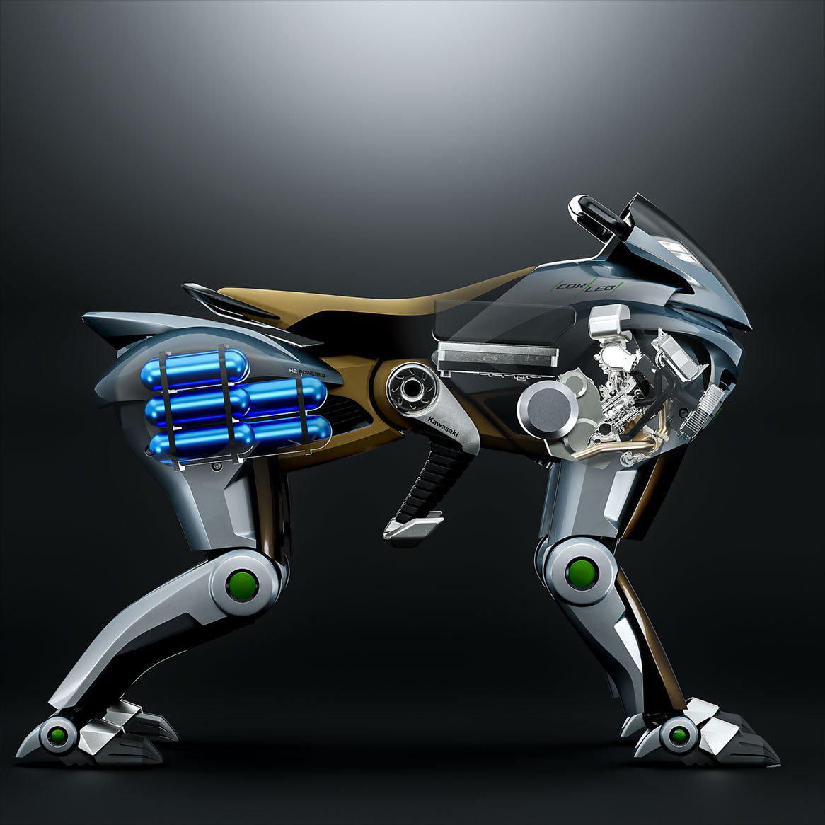 CONCEPT1 | Kawasaki