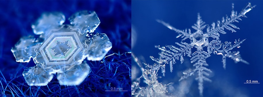 雪の結晶」の形から空のようすを推理しよう！ | Honda Kids（キッズ