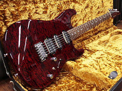 Schecter ST-4-CTM-VTR BKCH 中古｜ギター買取の東京新宿ハイブリッド