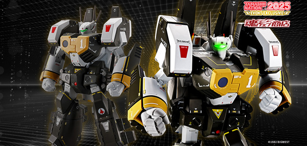 幻のアーマードが特別仕様カラーリングに！「マクロス」より「DX超合金