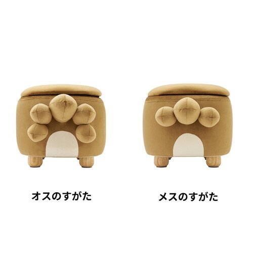 ポケモン』オスとメスで違うしっぽの形に注目！「ビッパ」のスツール